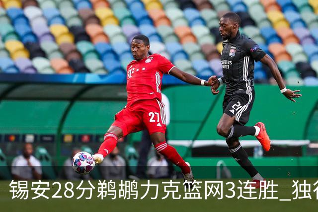 锡安28分鹈鹕力克篮网3连胜 独行侠险胜马刺